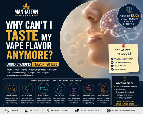 Why Can’t I Taste My Vape Flavor Anymore? Understanding Flavor Fatigue