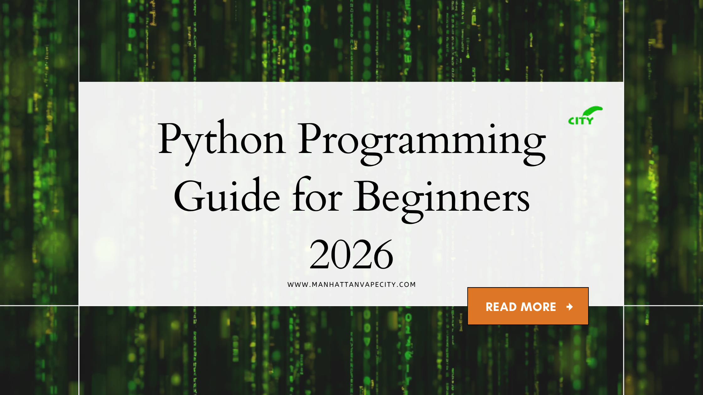 Python Programming Guide 2026 for Beginners – Manhattan Vape City